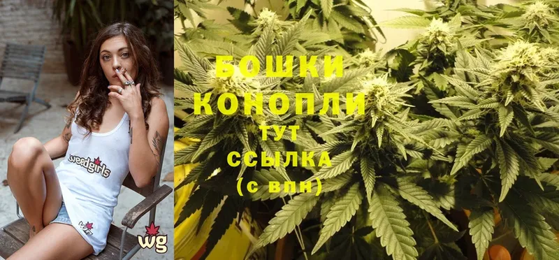 Конопля White Widow  Луза 